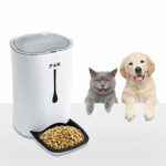 distributeur croquettes chat : En promotion ▻▻ -41 %
