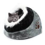 accessoire chat ►◄ AVIS - élu produit du mois